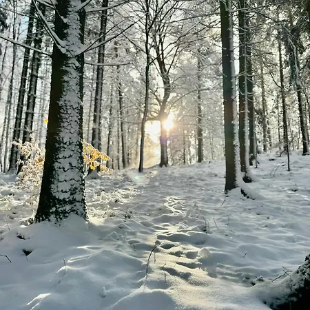 Moderne - Alpakahof Zum Himmelreich, Traumhafte Lage, Terrasse Mit Weitblick, Kostenfreier Parkplatz, Naehe Kurklinik, Optional Sauna Appartamento