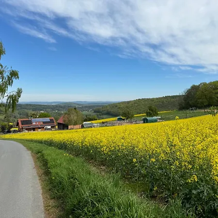 Moderne - Alpakahof Zum Himmelreich, Traumhafte Lage, Terrasse Mit Weitblick, Kostenfreier Parkplatz, Naehe Kurklinik, Optional Sauna Apartmán Bad Gottleuba