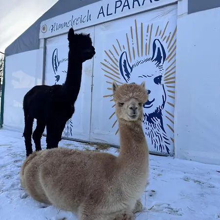 Moderne - Alpakahof Zum Himmelreich, Traumhafte Lage, Terrasse Mit Weitblick, Kostenfreier Parkplatz, Naehe Kurklinik, Optional Sauna