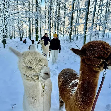 Appartamento Moderne - Alpakahof Zum Himmelreich, Traumhafte Lage, Terrasse Mit Weitblick, Kostenfreier Parkplatz, Naehe Kurklinik, Optional Sauna