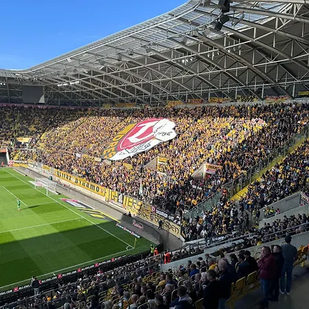 Moderne - Alpakahof Zum Himmelreich, Traumhafte Lage, Terrasse Mit Weitblick, Kostenfreier Parkplatz, Nähe Kurklinik, Optional Sauna Bad Gottleuba