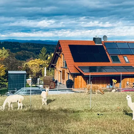 Moderne - Alpakahof Zum Himmelreich, Traumhafte Lage, Terrasse Mit Weitblick, Kostenfreier Parkplatz, Naehe Kurklinik, Optional Sauna Διαμέρισμα *