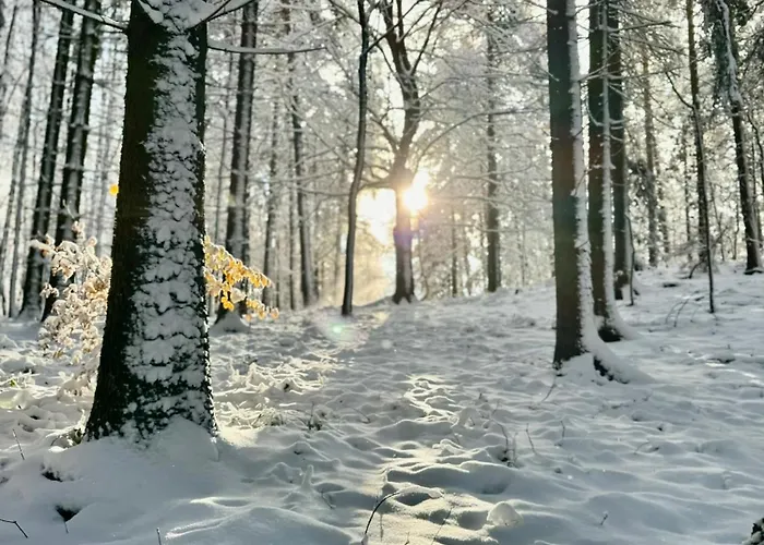 Moderne - Alpakahof Zum Himmelreich, Traumhafte Lage, Terrasse Mit Weitblick, Kostenfreier Parkplatz, Nähe Kurklinik, Optional Sauna Apartment