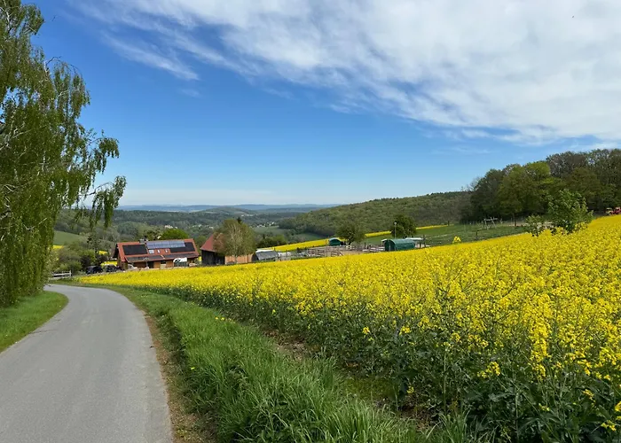 Moderne - Alpakahof Zum Himmelreich, Traumhafte Lage, Terrasse Mit Weitblick, Kostenfreier Parkplatz, Nähe Kurklinik, Optional Sauna Apartment Bad Gottleuba