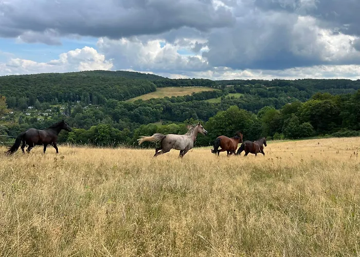 Moderne - Alpakahof Zum Himmelreich, Traumhafte Lage, Terrasse Mit Weitblick, Kostenfreier Parkplatz, Nähe Kurklinik, Optional Sauna * Bad Gottleuba