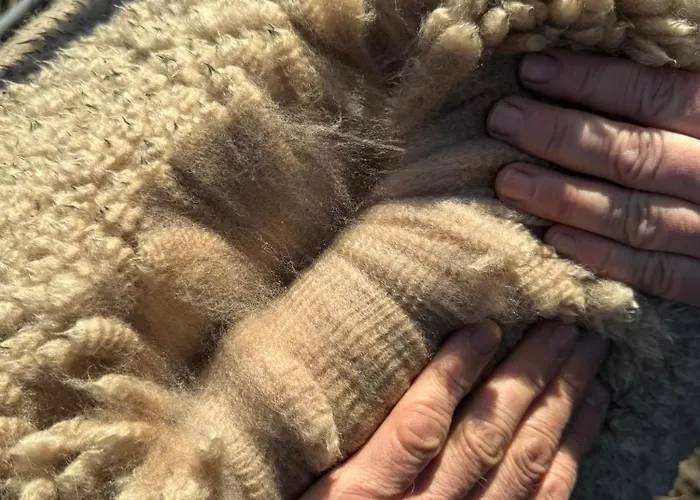 Moderne - Alpakahof Zum Himmelreich, Traumhafte Lage, Terrasse Mit Weitblick, Kostenfreier Parkplatz, Nähe Kurklinik, Optional Sauna