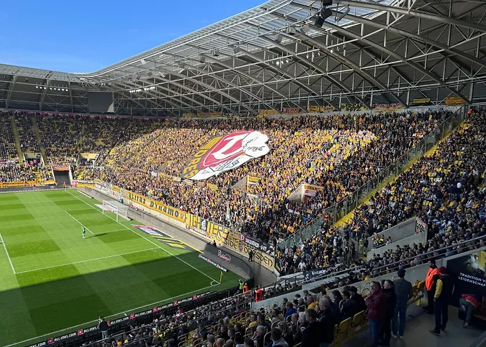 Moderne - Alpakahof Zum Himmelreich, Traumhafte Lage, Terrasse Mit Weitblick, Kostenfreier Parkplatz, Nähe Kurklinik, Optional Sauna Bad Gottleuba