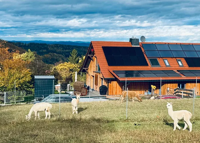 Moderne - Alpakahof Zum Himmelreich, Traumhafte Lage, Terrasse Mit Weitblick, Kostenfreier Parkplatz, Nähe Kurklinik, Optional Sauna Apartment *